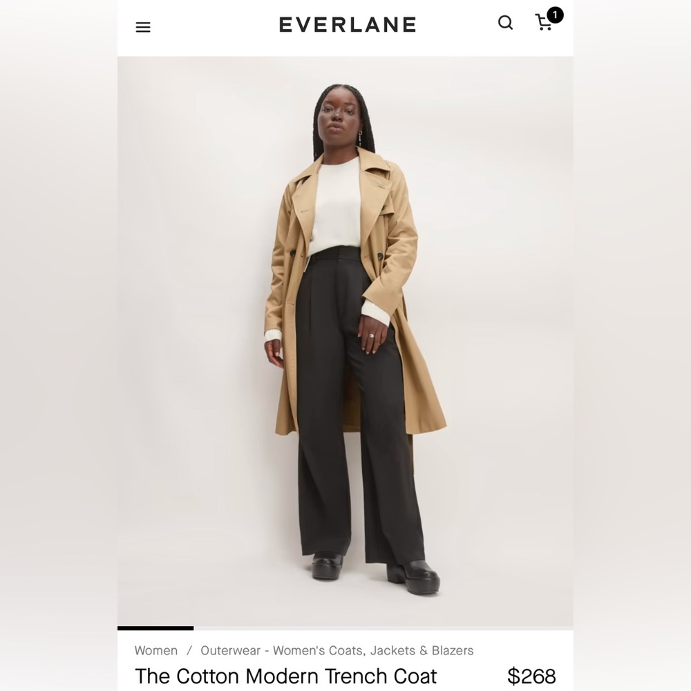 Everlane Trench Coat
